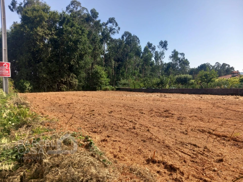 Terreno para Venda em Alvito (São Pedro e São Martinho) e Couto Foto 2