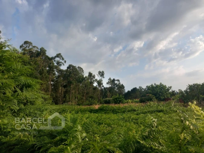 Terreno para Venda em Alvito (São Pedro e São Martinho) e Couto Foto 9