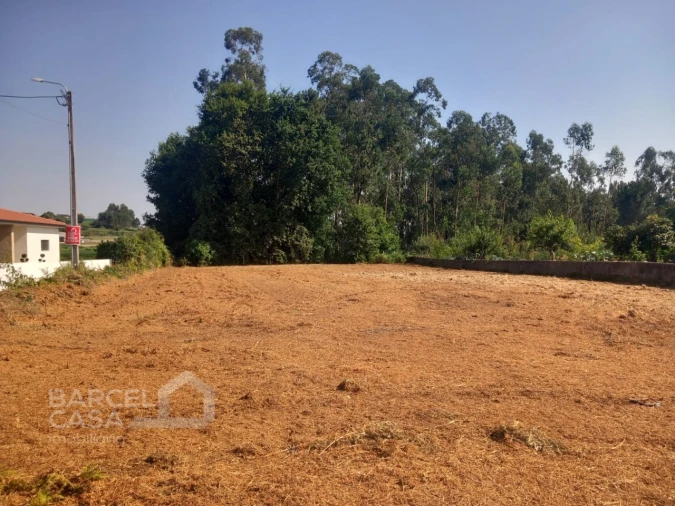 Terreno para Venda em Alvito (São Pedro e São Martinho) e Couto Foto 4