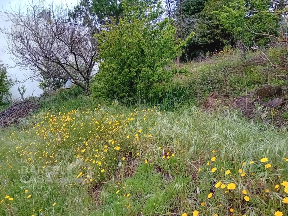 Terreno para Venda em Carapeços Foto 9