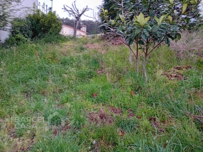 Terreno para Venda em Carapeços Foto 8