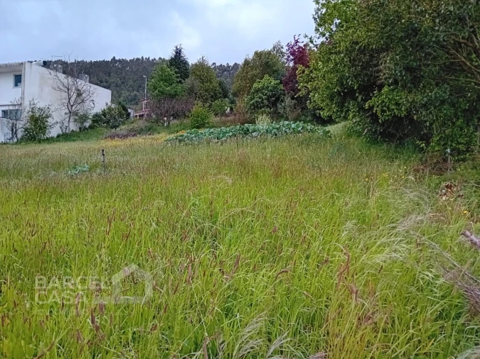 Terreno para Venda em Carapeços Foto 11