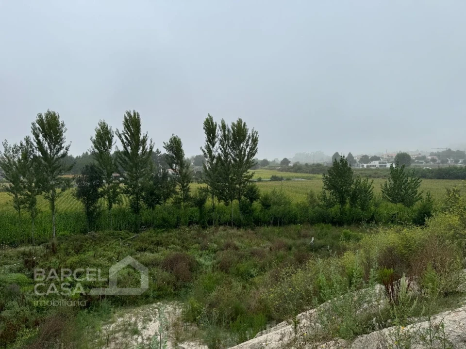 Armazém para Venda em Silveiros e Rio Covo (Santa Eulália) Foto 9