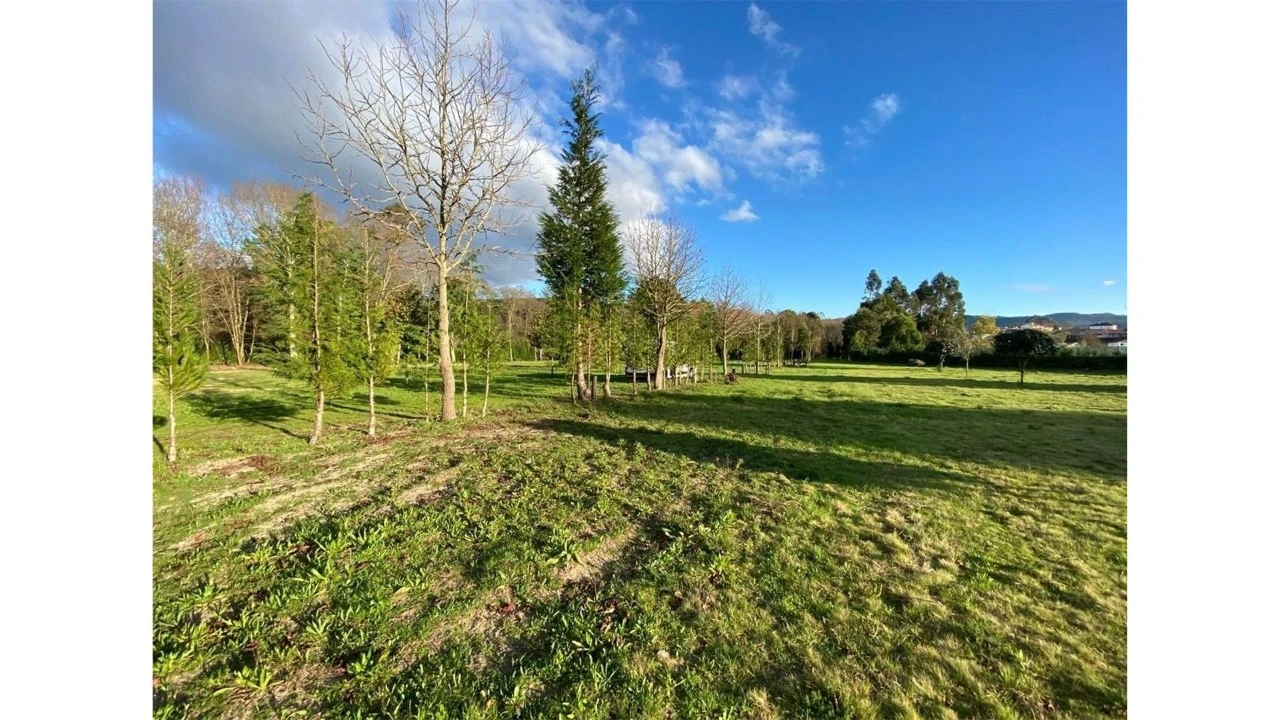 Terreno para Venda em Fragoso Foto 11