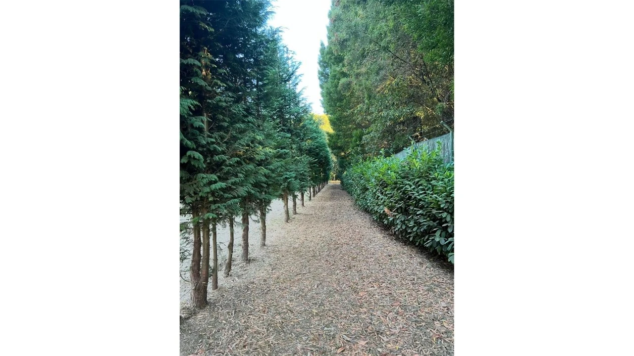 Terreno para Venda em Fragoso Foto 13