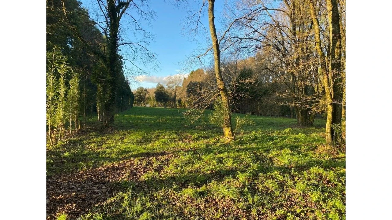 Terreno para Venda em Fragoso Foto 16