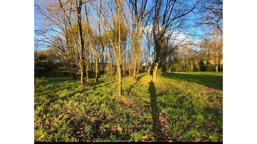 Terreno para Venda em Fragoso Foto 4