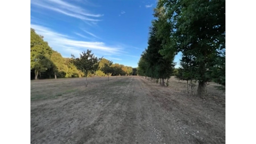 Terreno para Venda em Fragoso Foto 2