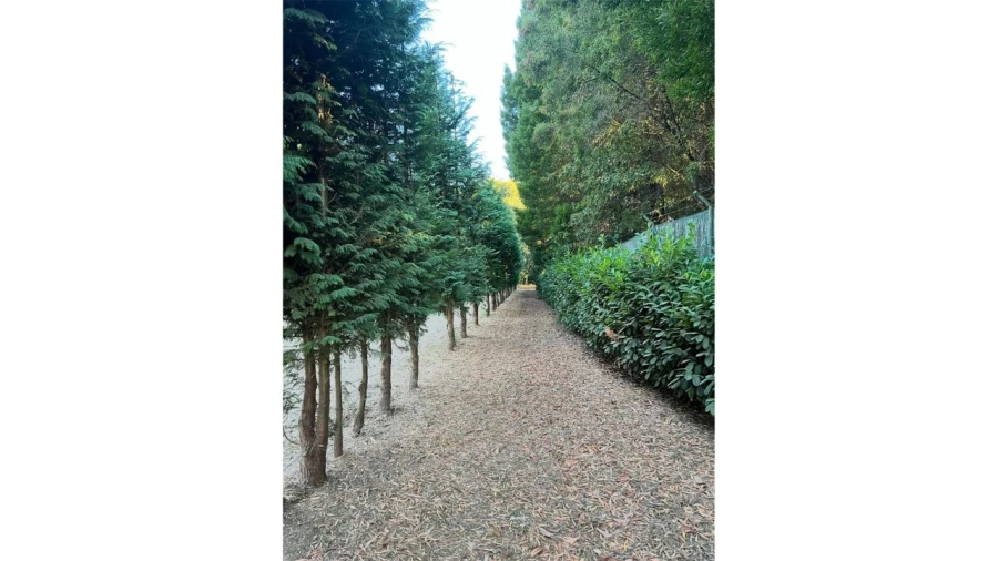 Terreno para Venda em Fragoso Foto 13