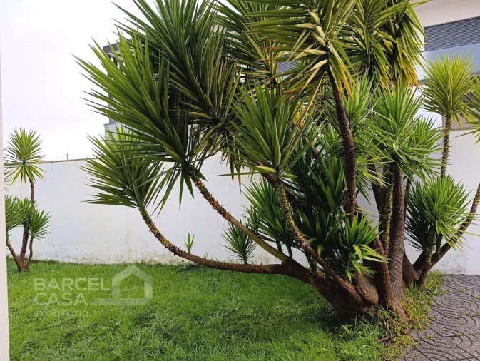 Moradia T3 para Venda em Antas Foto 35