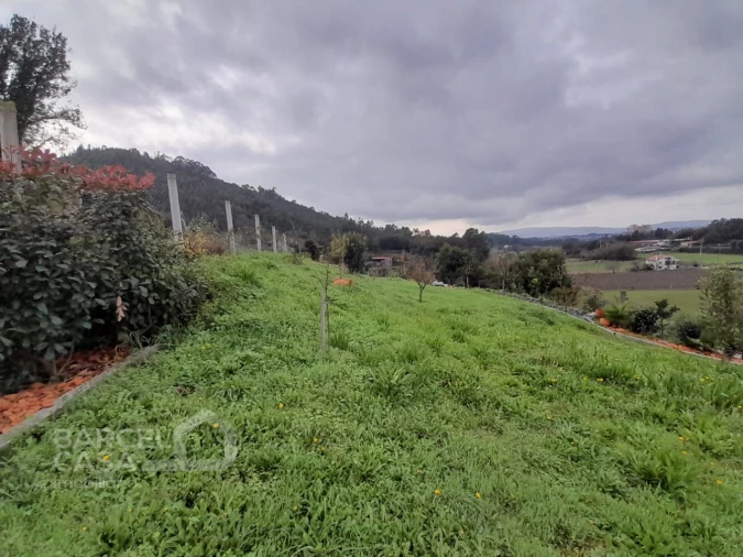 Terreno para Venda em Areias de Vilar e Encourados Foto 8