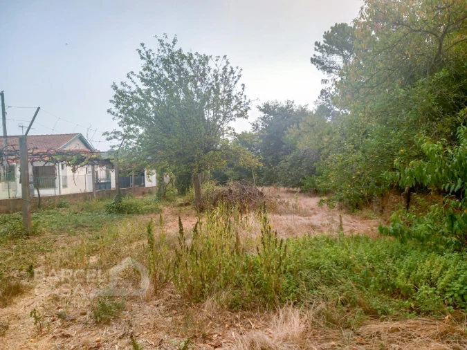 Terreno para Venda em Galegos (São Martinho) Foto 1