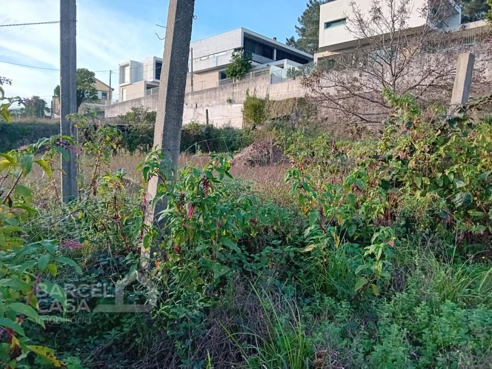 Terreno para Venda em Abade de Neiva Foto 10