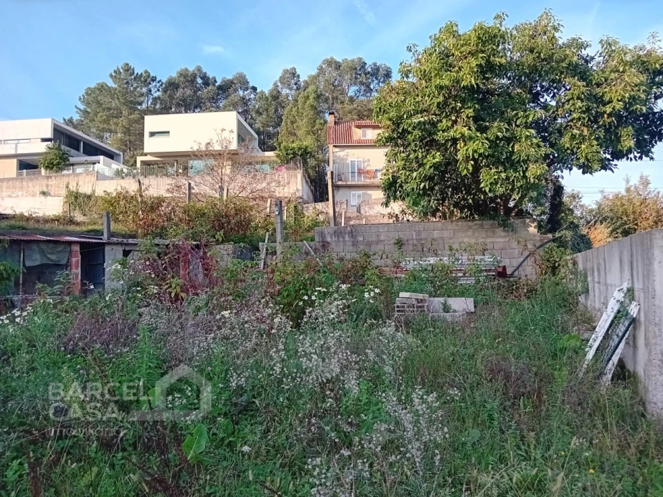 Terreno para Venda em Abade de Neiva Foto 12