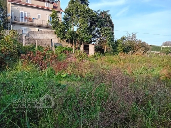 Terreno para Venda em Abade de Neiva Foto 7