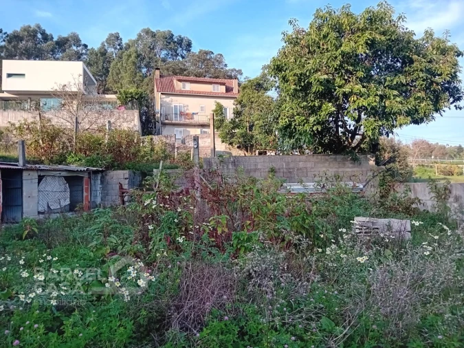 Terreno para Venda em Abade de Neiva Foto 9