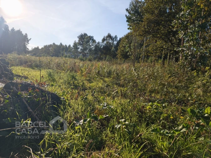 Terreno para Venda em Forjães Foto 5