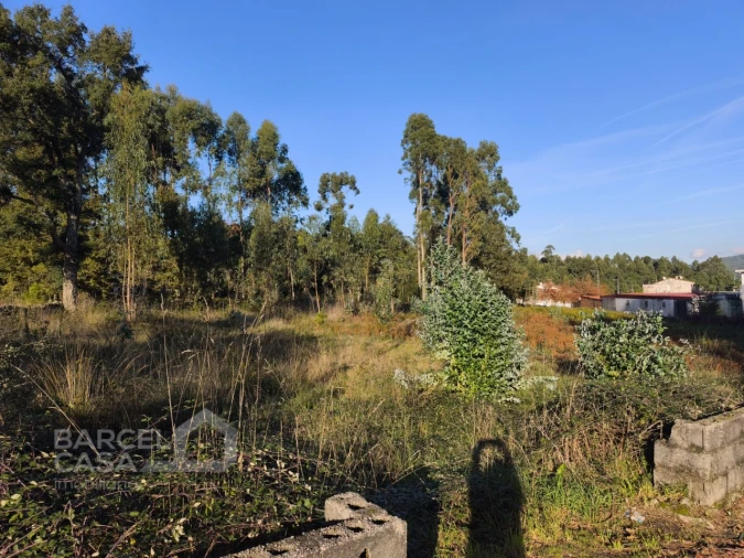 Terreno para Venda em Forjães Foto 10