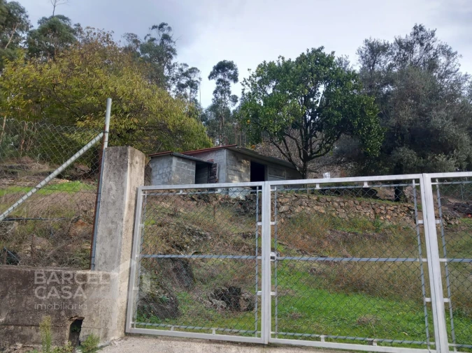 Terreno para Venda em Alheira e Igreja Nova Foto 3
