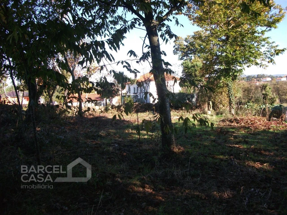 Terreno para Venda em Alheira e Igreja Nova Foto 2