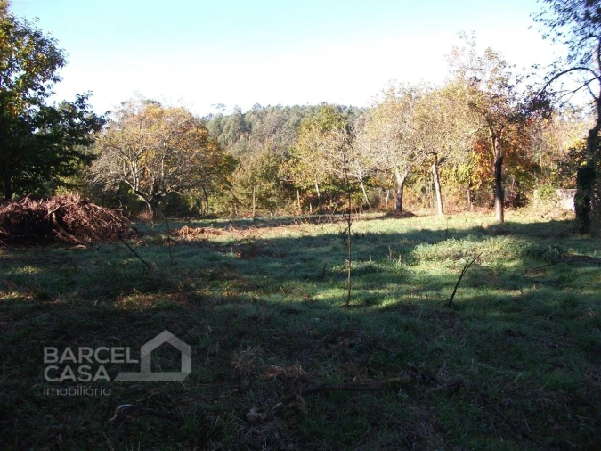 Terreno para Venda em Alheira e Igreja Nova Foto 1