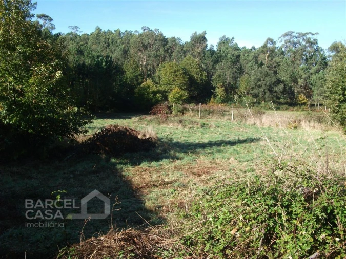 Terreno para Venda em Alheira e Igreja Nova Foto 6