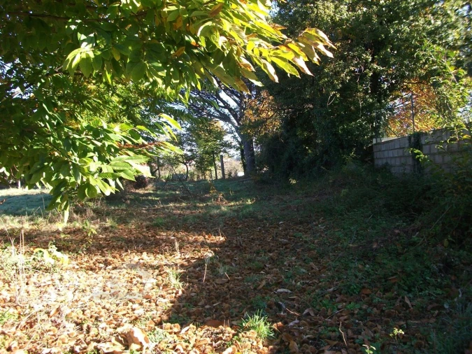 Terreno para Venda em Alheira e Igreja Nova Foto 7