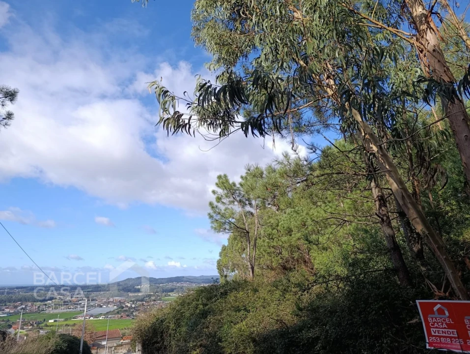Terreno para Venda em Milhazes, Vilar de Figos e Faria Foto 8