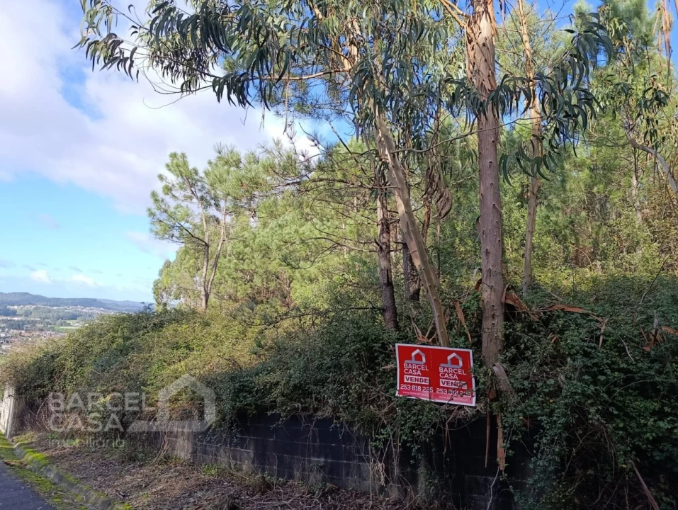 Terreno para Venda em Milhazes, Vilar de Figos e Faria Foto 9
