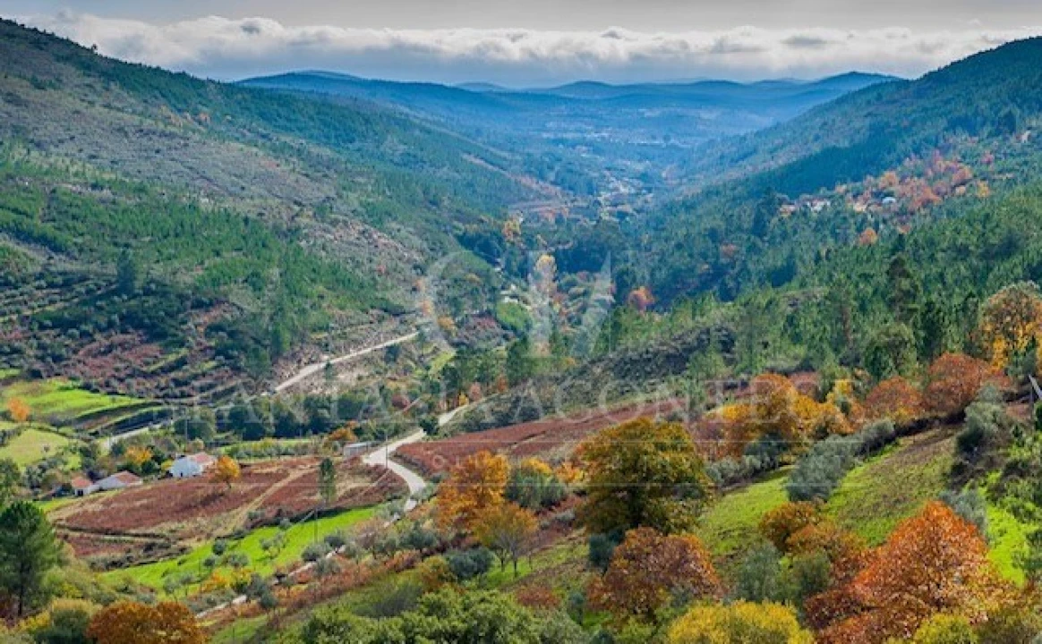 Terreno Misto para Venda em Reguengo e São Julião Foto 7