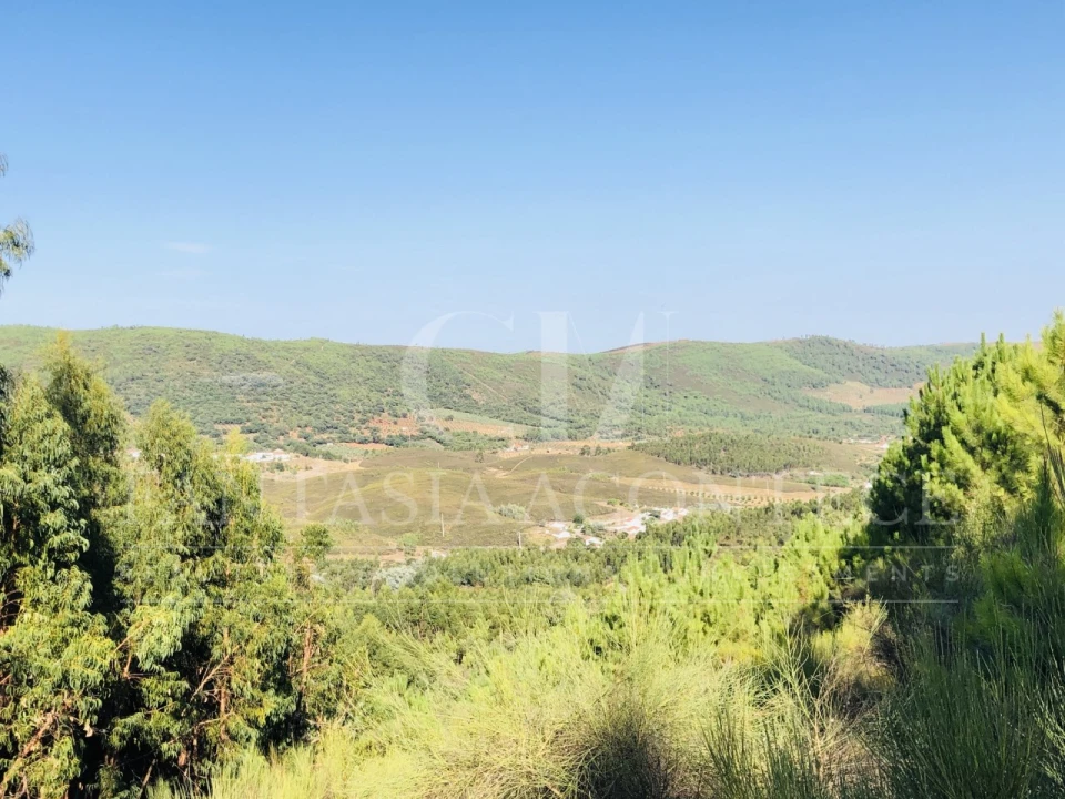 Terreno Misto para Venda em Reguengo e São Julião Foto 12