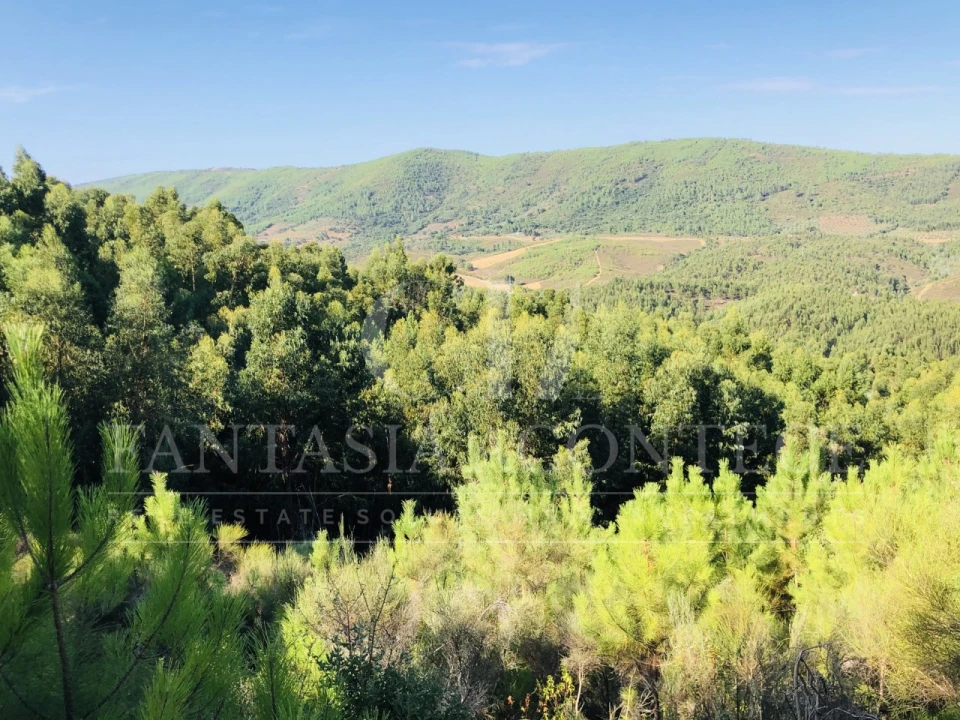 Terreno Misto para Venda em Reguengo e São Julião Foto 13
