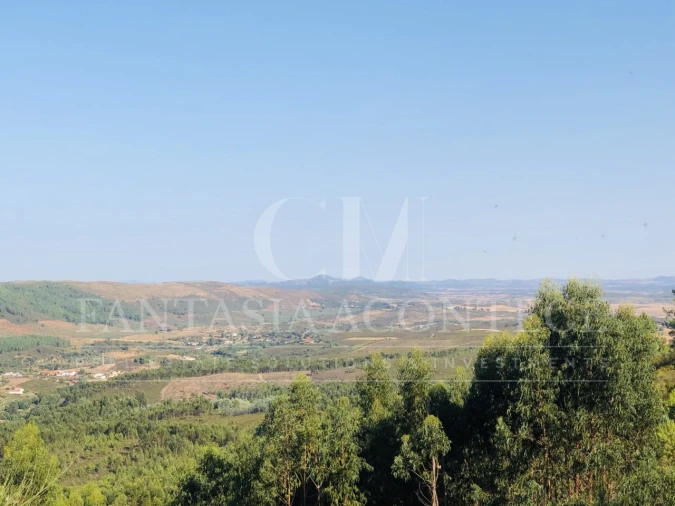 Terreno Misto para Venda em Reguengo e São Julião Foto 11