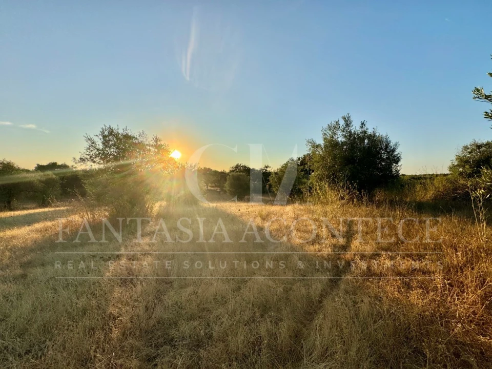Terreno Misto para Venda em Casa Branca Foto 2