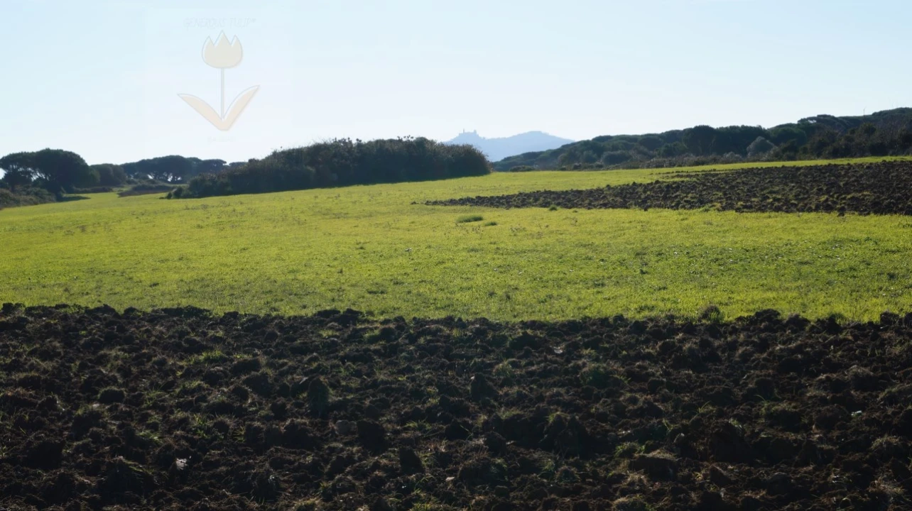Terreno para Venda em São João das Lampas e Terrugem Foto 1