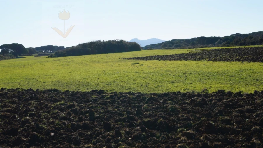 Terreno para Venda em São João das Lampas e Terrugem Foto 1