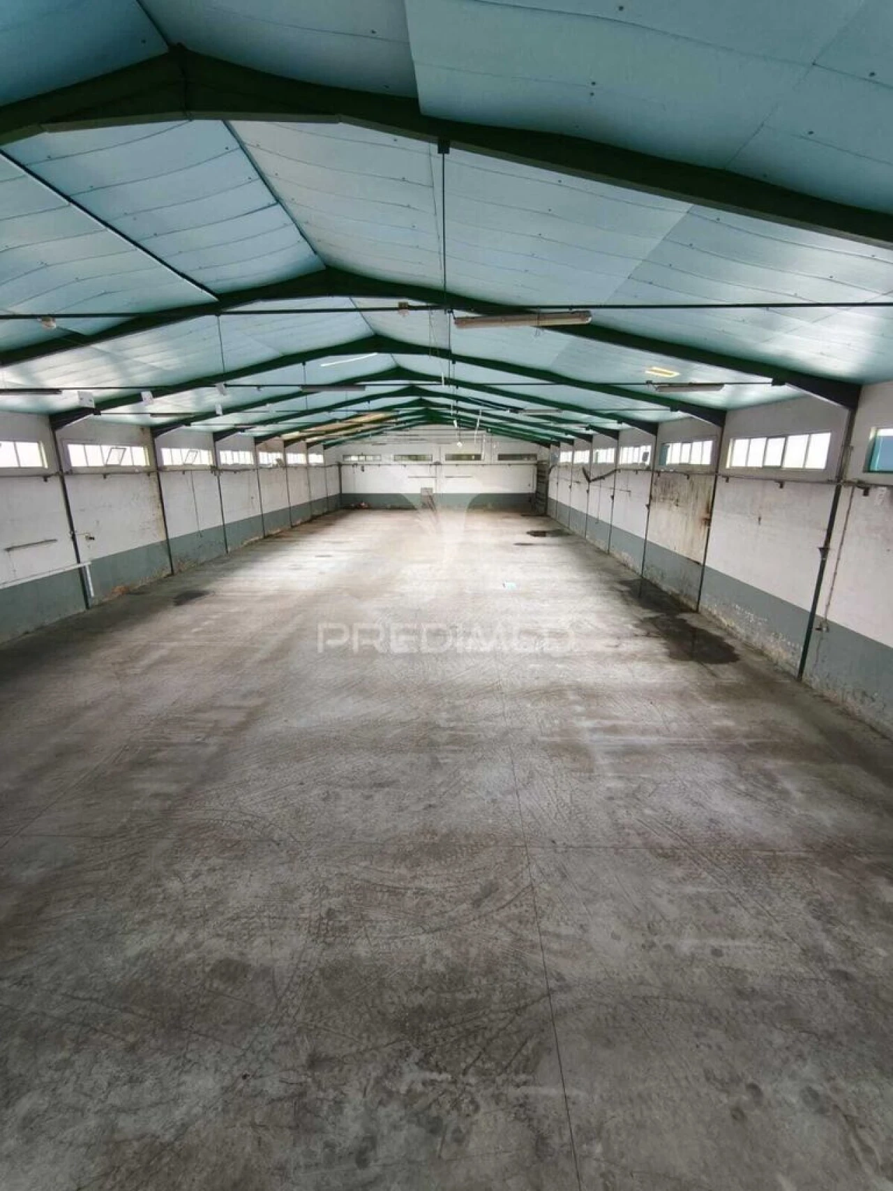 Armazém para Venda em Oiã Foto 2