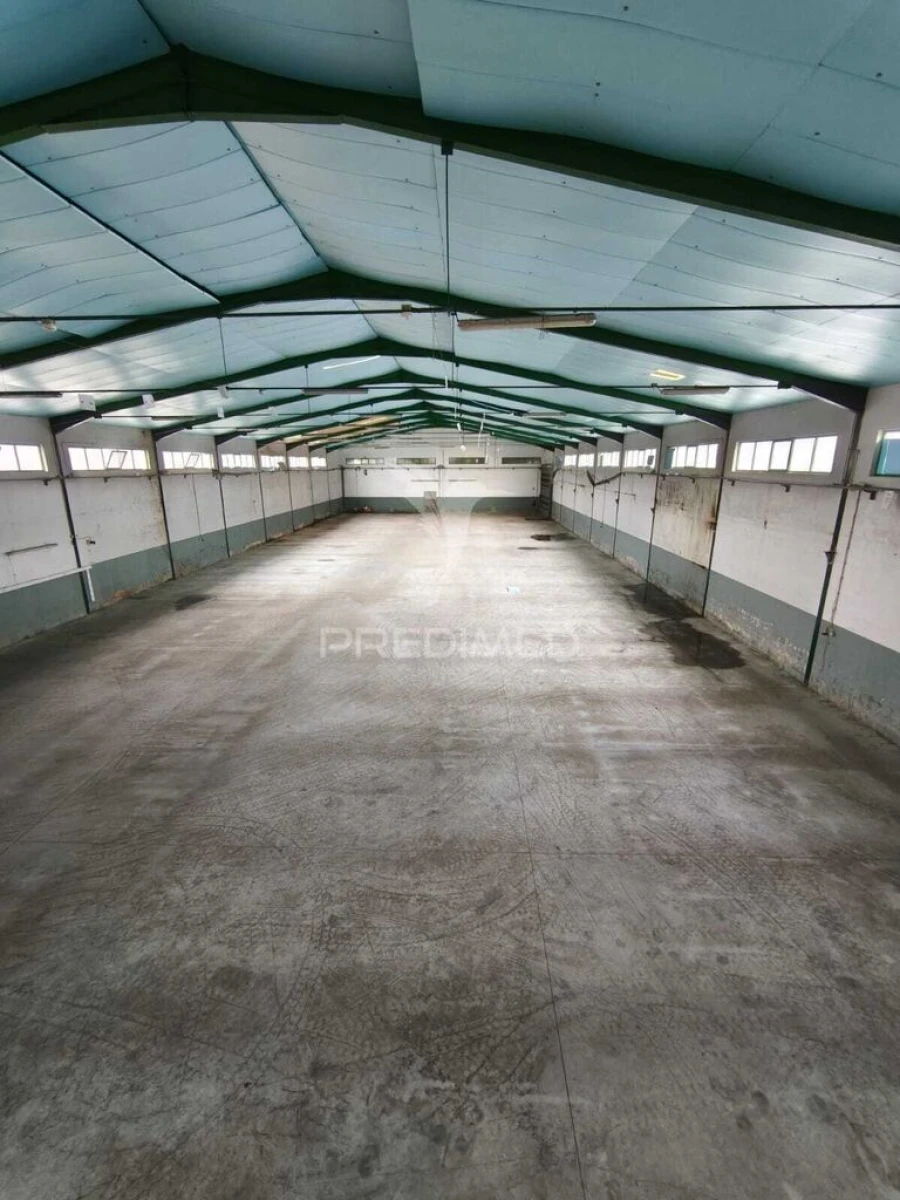 Armazém para Venda em Oiã Foto 2