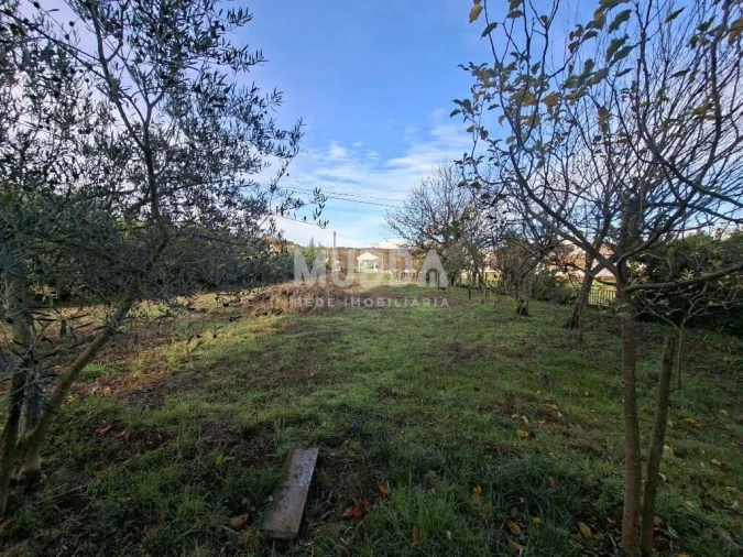 Moradia T6 para Venda em Salsas Foto 15