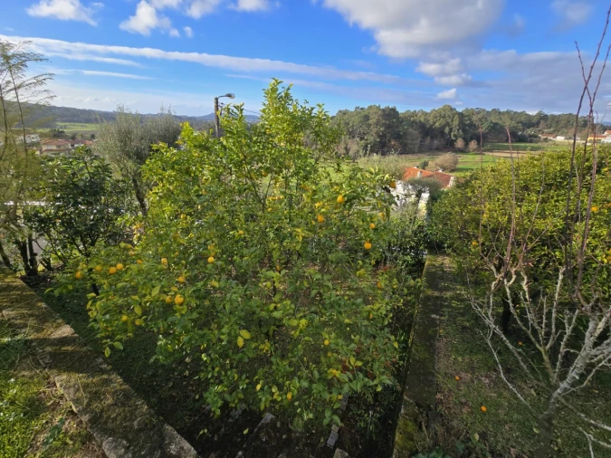 Quinta T2 para Venda em Aldreu Foto 26