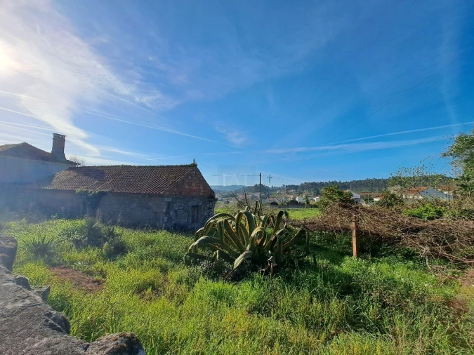 Moradia T3 para Venda em São Romão de Neiva Foto 3