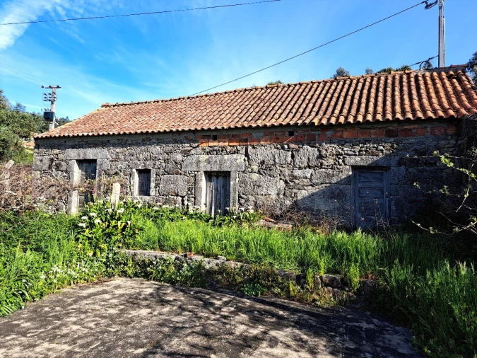 Moradia T3 para Venda em São Romão de Neiva Foto 2