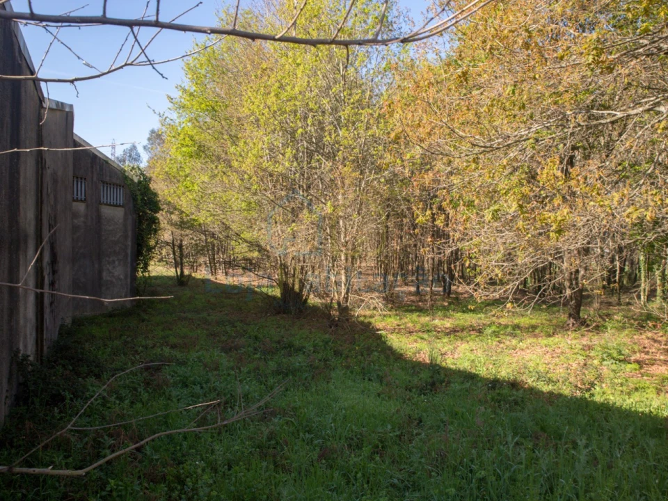 Terreno Comércio / Armazém para Venda em Merelim (São Paio), Panoias e Parada de Tibães Foto 23