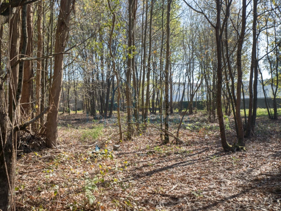 Terreno Comércio / Armazém para Venda em Merelim (São Paio), Panoias e Parada de Tibães Foto 37