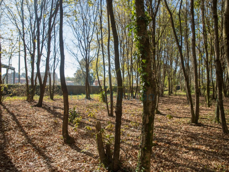 Terreno Comércio / Armazém para Venda em Merelim (São Paio), Panoias e Parada de Tibães Foto 39