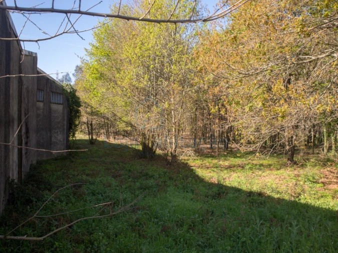 Terreno Comércio / Armazém para Venda em Merelim (São Paio), Panoias e Parada de Tibães Foto 23
