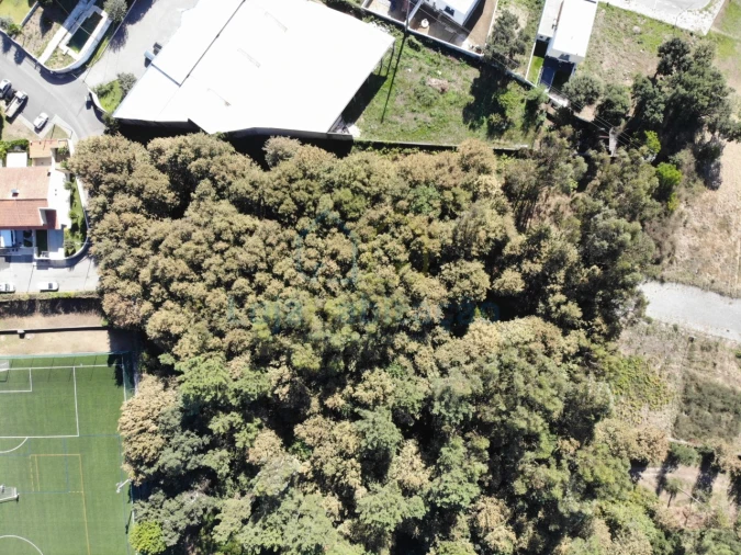 Terreno Comércio / Armazém para Venda em Merelim (São Paio), Panoias e Parada de Tibães Foto 8