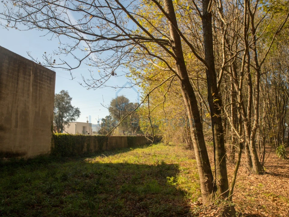 Terreno para Venda em Merelim (São Paio), Panoias e Parada de Tibães Foto 25