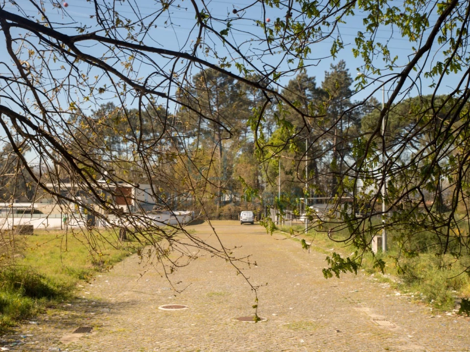 Terreno para Venda em Merelim (São Paio), Panoias e Parada de Tibães Foto 10