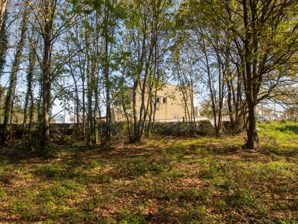 Terreno para Venda em Merelim (São Paio), Panoias e Parada de Tibães Foto 44